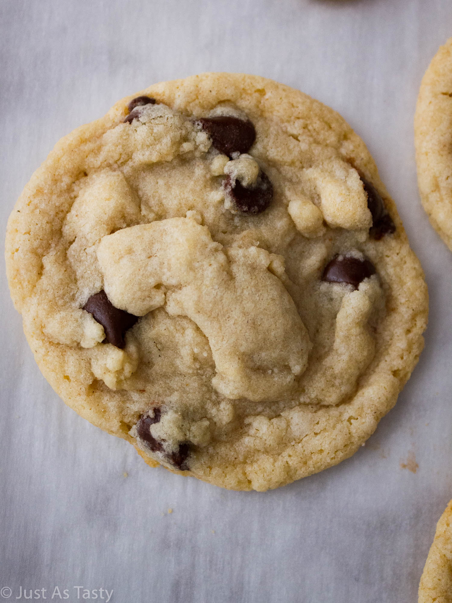 Close-up of a chocolate chip cookie. 